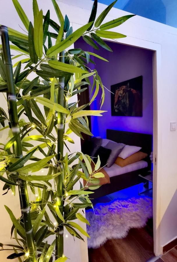 Dolce Vita Supremier Appartement *